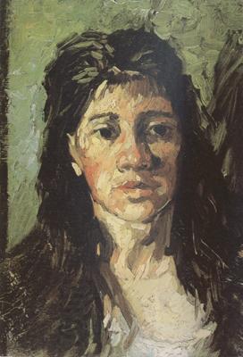 Vincent Van Gogh Head of a Woman with her Hair Loose (nn04) China oil painting art